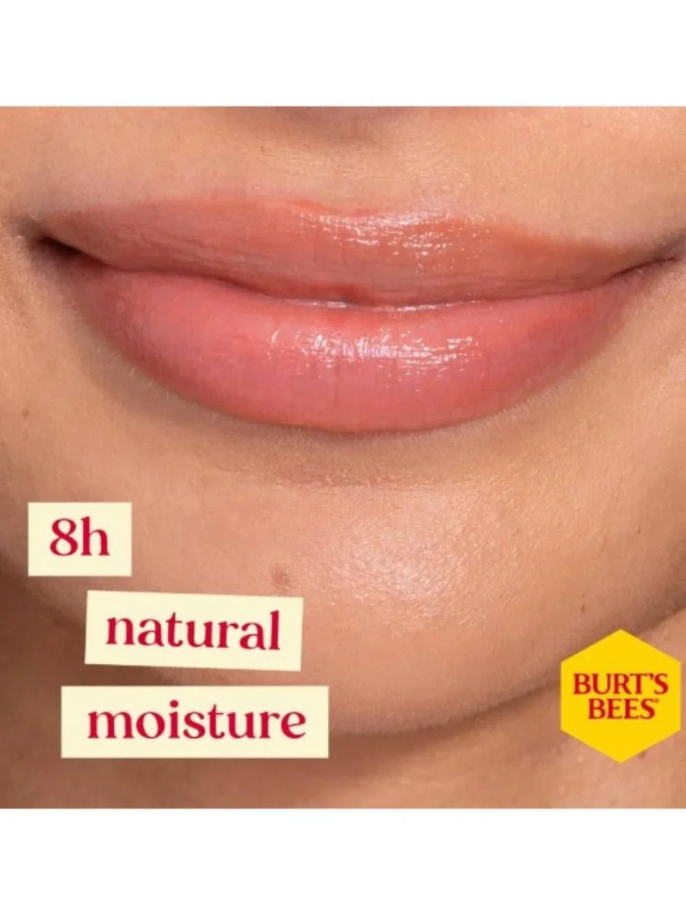 SEALED 2pc Burt's Bees Tinted Lip Balm and Lip Shimmer Set